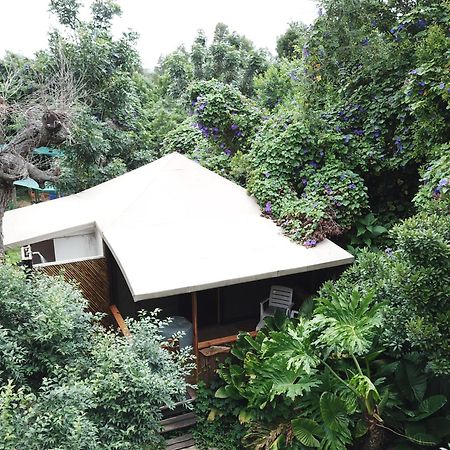 Mali Boutique Lodge & Tube 'N Axe Budget Accommodation Stormsrivier Szoba fotó